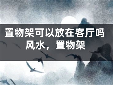 置物架可以放在客厅吗风水，置物架