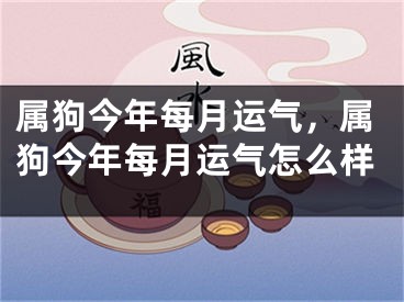 属狗今年每月运气，属狗今年每月运气怎么样