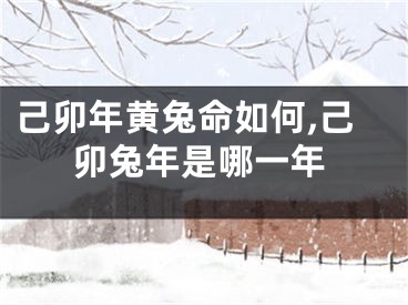 己卯年黄兔命如何,己卯兔年是哪一年