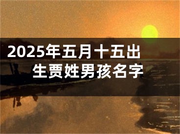 2025年五月十五出生贾姓男孩名字