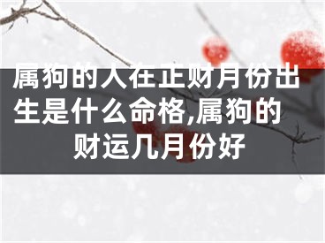 属狗的人在正财月份出生是什么命格,属狗的财运几月份好