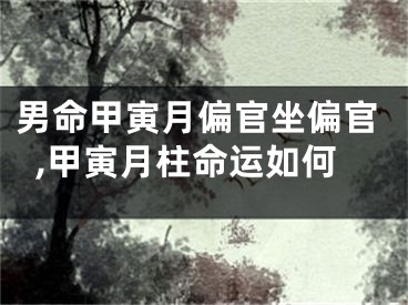 男命甲寅月偏官坐偏官,甲寅月柱命运如何