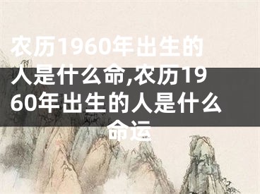 农历1960年出生的人是什么命,农历1960年出生的人是什么命运