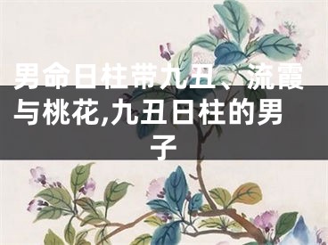 男命日柱带九丑、流霞与桃花,九丑日柱的男子