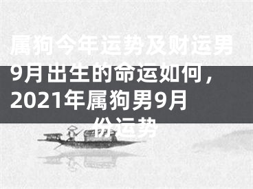 属狗今年运势及财运男9月出生的命运如何，2021年属狗男9月份运势
