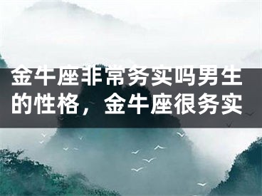 金牛座非常务实吗男生的性格，金牛座很务实