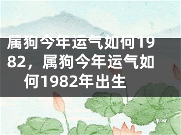 属狗今年运气如何1982,属狗今年运气如何1982年出生