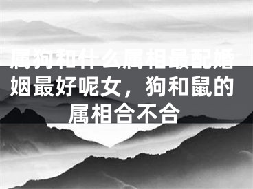 属狗和什么属相最配婚姻最好呢女，狗和鼠的属相合不合