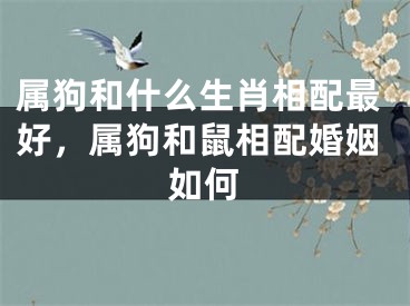 属狗和什么生肖相配最好，属狗和鼠相配婚姻如何