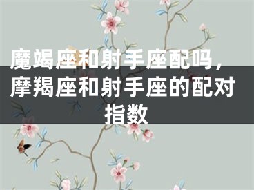 魔竭座和射手座配吗，摩羯座和射手座的配对指数