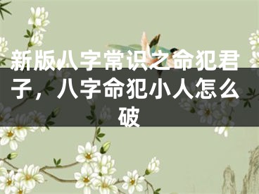 新版八字常识之命犯君子，八字命犯小人怎么破