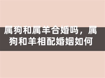 属狗和属羊合婚吗，属狗和羊相配婚姻如何