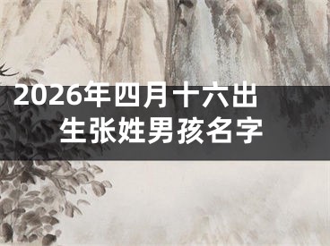 2026年四月十六出生张姓男孩名字