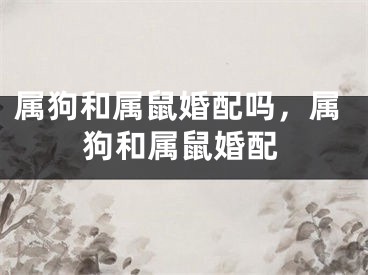 属狗和属鼠婚配吗，属狗和属鼠婚配