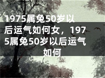 1975属兔50岁以后运气如何女，1975属兔50岁以后运气如何