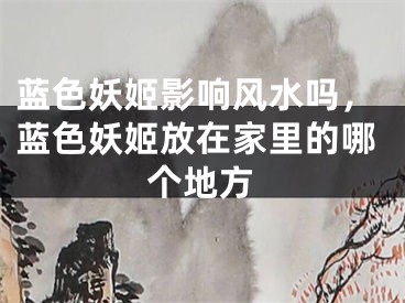 蓝色妖姬影响风水吗，蓝色妖姬放在家里的哪个地方