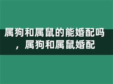 属狗和属鼠的能婚配吗，属狗和属鼠婚配