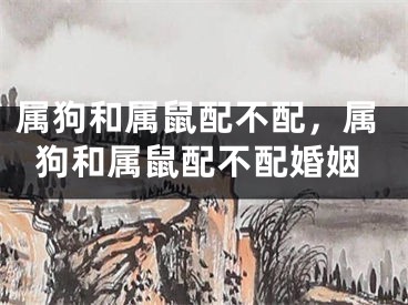 属狗和属鼠配不配，属狗和属鼠配不配婚姻