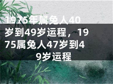 1975年属兔人40岁到49岁运程，1975属兔人47岁到49岁运程