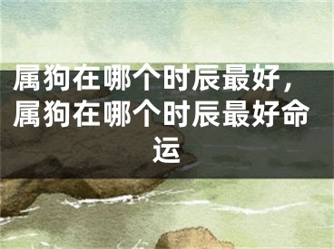 属狗在哪个时辰最好，属狗在哪个时辰最好命运