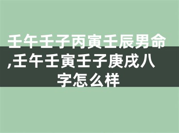 壬午壬子丙寅壬辰男命,壬午壬寅壬子庚戌八字怎么样
