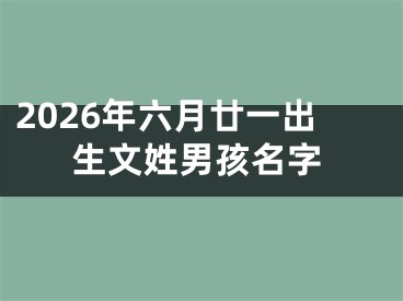 2026年六月廿一出生文姓男孩名字