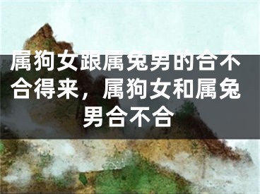 属狗女跟属兔男的合不合得来，属狗女和属兔男合不合