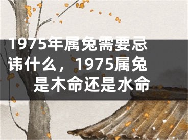 1975年属兔需要忌讳什么，1975属兔是木命还是水命