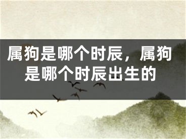 属狗是哪个时辰，属狗是哪个时辰出生的