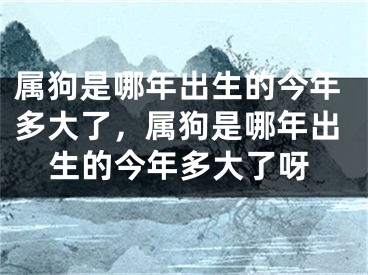 属狗是哪年出生的今年多大了，属狗是哪年出生的今年多大了呀
