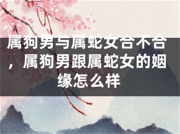 属狗男与属蛇女合不合，属狗男跟属蛇女的姻缘怎么样