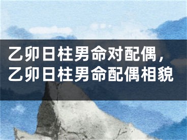 乙卯日柱男命对配偶，乙卯日柱男命配偶相貌