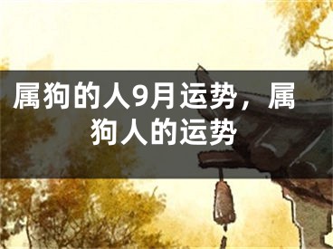 属狗的人9月运势，属狗人的运势