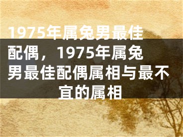 1975年属兔男最佳配偶,1975年属兔男最佳配偶属相与最不宜的属相
