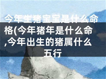 今年生猪宝宝是什么命格(今年猪年是什么命,今年出生的猪属什么五行
