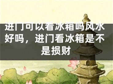 进门可以看冰箱吗风水好吗，进门看冰箱是不是损财