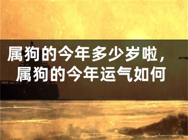属狗的今年多少岁啦,属狗的今年运气如何