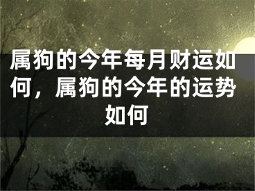 属狗的今年每月财运如何，属狗的今年的运势如何