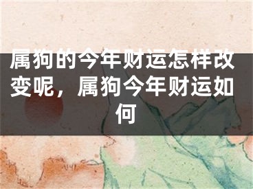 属狗的今年财运怎样改变呢，属狗今年财运如何