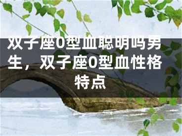 双子座0型血聪明吗男生，双子座0型血性格特点
