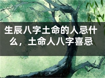 生辰八字土命的人忌什么，土命人八字喜忌