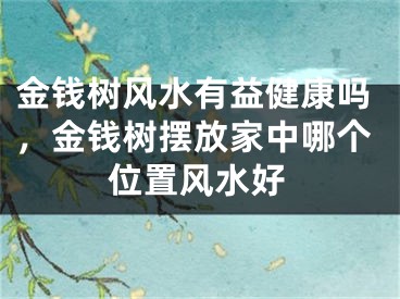 金钱树风水有益健康吗，金钱树摆放家中哪个位置风水好