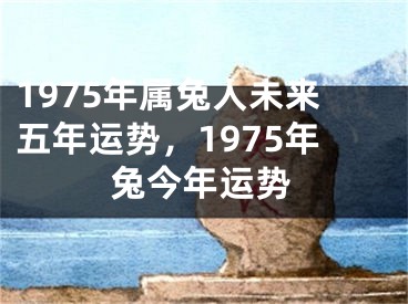 1975年属兔人未来五年运势，1975年兔今年运势