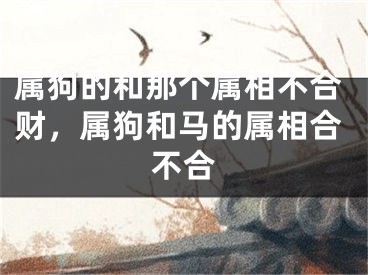 属狗的和那个属相不合财，属狗和马的属相合不合