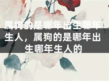 属狗的是哪年出生哪年生人，属狗的是哪年出生哪年生人的