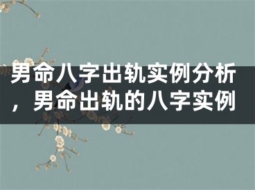 男命八字出轨实例分析,男命出轨的八字实例