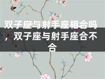双子座与射手座相合吗，双子座与射手座合不合