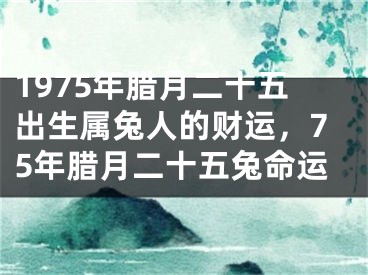 1975年腊月二十五出生属兔人的财运，75年腊月二十五兔命运