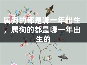 属狗的都是哪一年出生，属狗的都是哪一年出生的