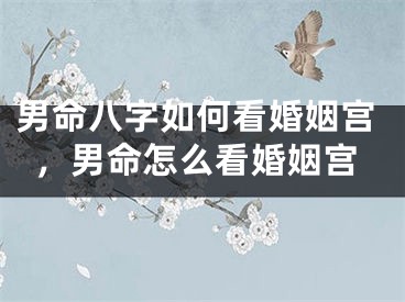 男命八字如何看婚姻宫，男命怎么看婚姻宫
